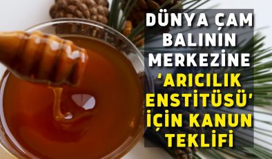 Dünya Çam balının merkezine ‘Arıcılık Enstitüsü’ için kanun teklifi