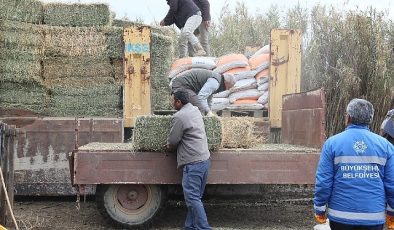 Hasret Çerçioğlu’ndan sıkıntı durumdaki üreticiye yem ve yonca takviyesi