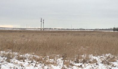 Japanese company considering Manitoba for $1.6B lithium ion battery facility