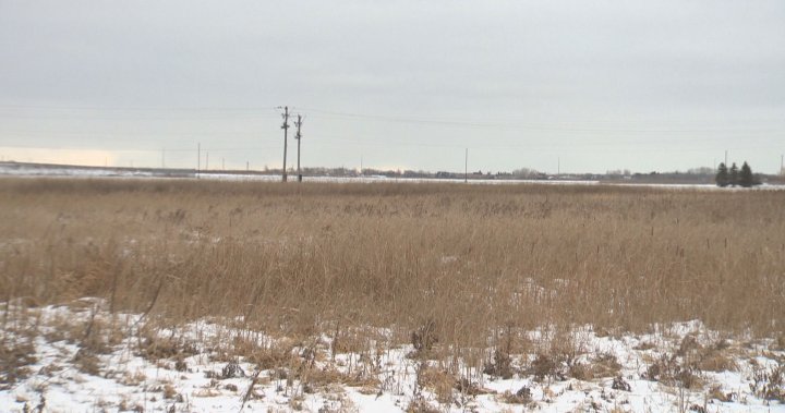 Japanese company considering Manitoba for $1.6B lithium ion battery facility