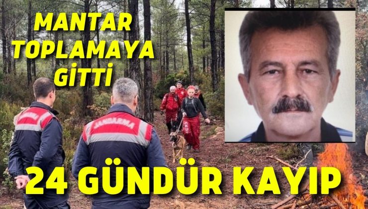 Mantar toplamaya gitti, 24 gündür kayıp