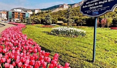 Muğla Büyükşehir Yeşil Alan Miktarını İl genelinde Yüzde 92 Arttırdı