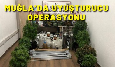 Muğla’da uyuşturucu operasyonu