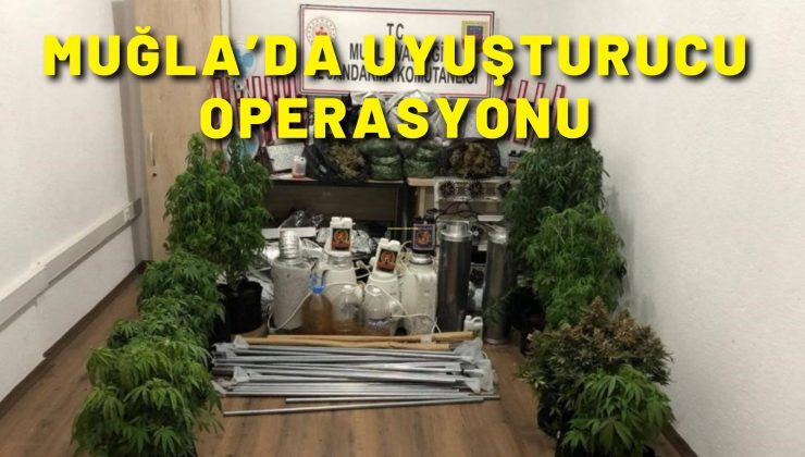 Muğla’da uyuşturucu operasyonu