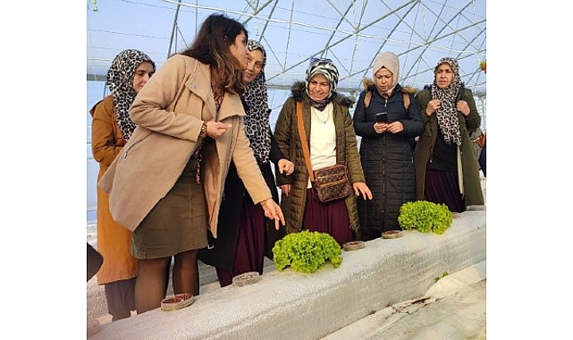 Topraksız tarım projesine bayan çiftçilerden ağır ilgi