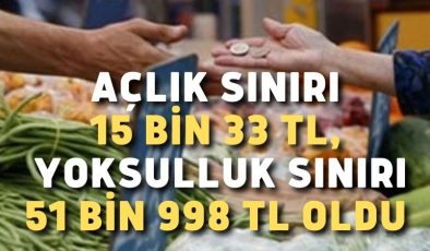 Açlık sınırı 15 bin 33 TL, yoksulluk sınırı 51 bin 998 TL oldu