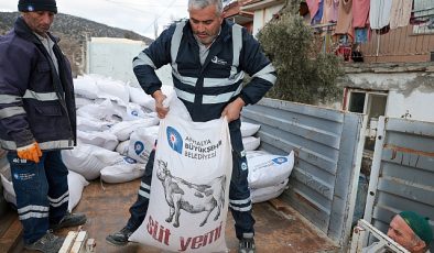 Büyükşehir’in yem dayanağı yüzleri güldürüyor