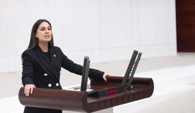 CHP Muğla Milletvekili Gizem Özcan’dan kanun teklifi