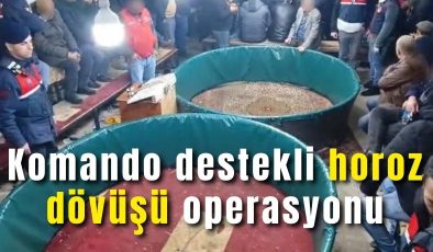 Komando destekli horoz dövüşü operasyonu