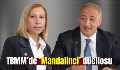 TBMM’de ‘Mandalinci’ düellosu; CHP’li Derici’den, AK Partili Mete’ye cevap verdi