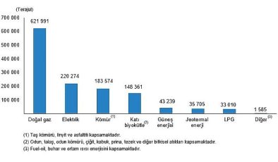 TÜİK: Hanehalkı Son Güç Tüketim İstatistikleri, 2022