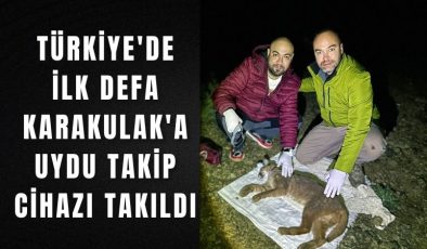 Türkiye’de ilk defa Karakulak’a uydu takip cihazı takıldı