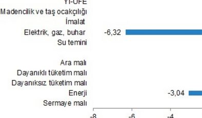 Yurt İçi Üretici Fiyat Endeksi, Ocak 2024