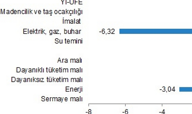 Yurt İçi Üretici Fiyat Endeksi, Ocak 2024