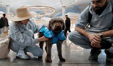 İGA İstanbul Havalimanı Terapi Köpekleri Uçuş Gerilimini Azaltmak İçin Misyona Hazır!