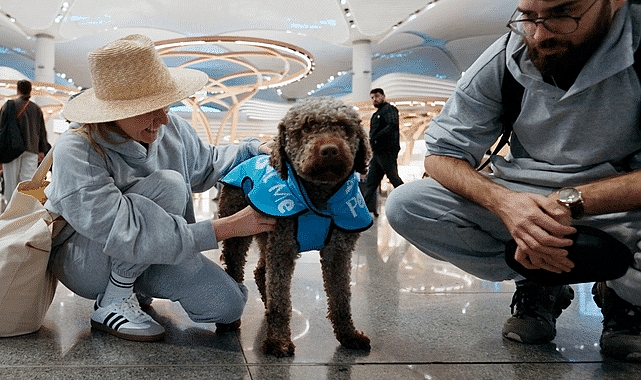 İGA İstanbul Havalimanı Terapi Köpekleri Uçuş Gerilimini Azaltmak İçin Misyona Hazır!