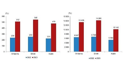 TÜİK: Mevsimlik tarım çalışanlarının ortalama günlük fiyatları 2023 yılında %114,6 arttı