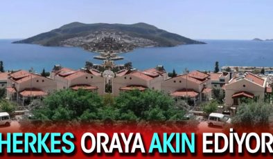 Herkes oraya akın ediyor