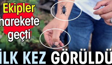 İlk kez görüldü ekipler harekete geçti