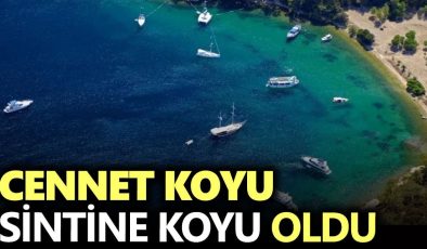 Cennet Koyu sintine koyu oldu