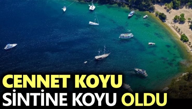 Cennet Koyu sintine koyu oldu