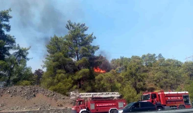 Muğla’da orman yangını kısmen kontrol altına alındı