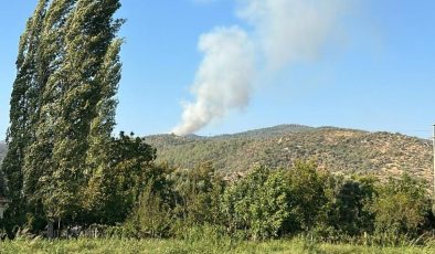 Muğla ve Bursa’da korkutan orman yangını