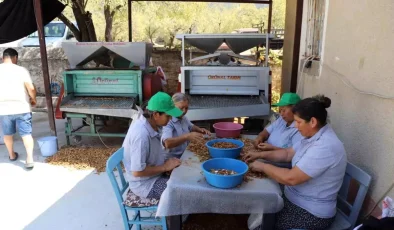 Muğla’da Tarım Kooperatifleri İşbirliği İçin Bir Araya Geldi