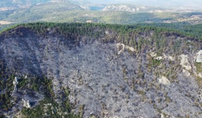 Gökova’nın cennet ormanları karardı