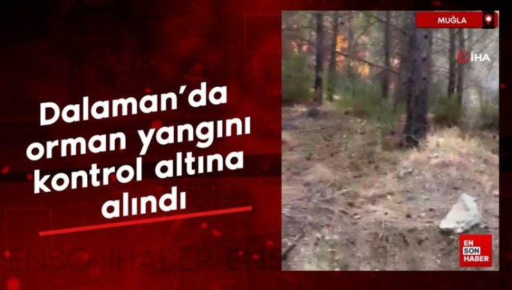 Muğla’da Dalaman orman yangını kontrol altına alındı