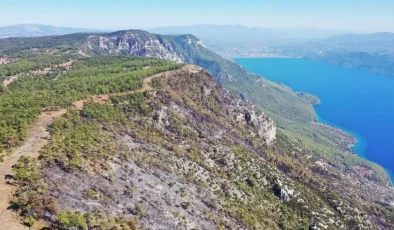 Muğla’da Orman Yangınları: 849 Hektar Kül Oldu