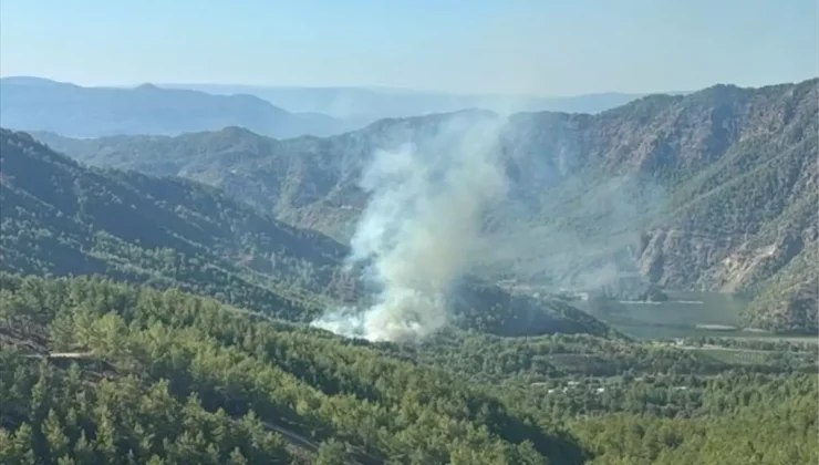 Muğla’nın Dalaman İlçesinde Orman Yangını Çıktı