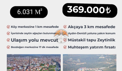 Aydın Bozdoğan’da Zeytinlik Yatırım Fırsatı – Verimli Topraklarda Kazançlı Yatırım