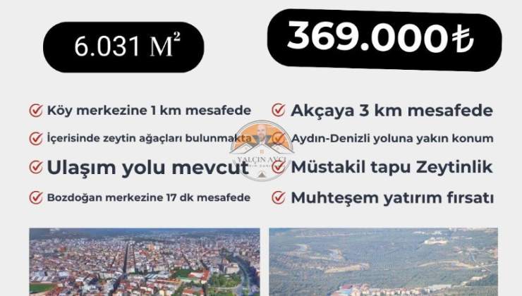 Aydın Bozdoğan’da Zeytinlik Yatırım Fırsatı – Verimli Topraklarda Kazançlı Yatırım