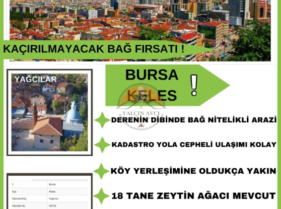 Bursa Keles Yağcılar’da 4.790 m² Bağ Nitelikli Yatırım Arazisi